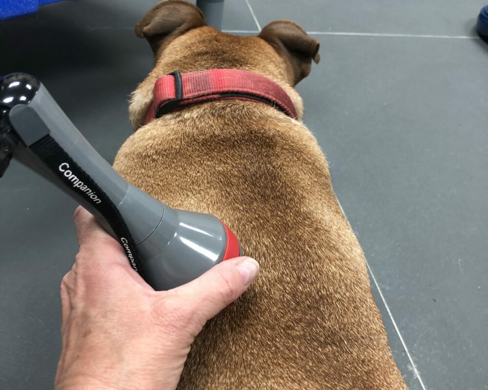 LASER THERAPY