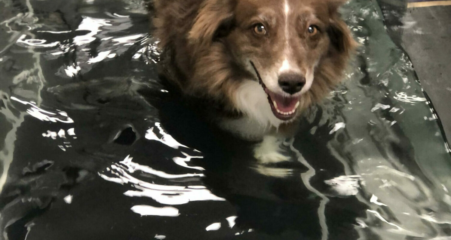 HYDROTHERAPY